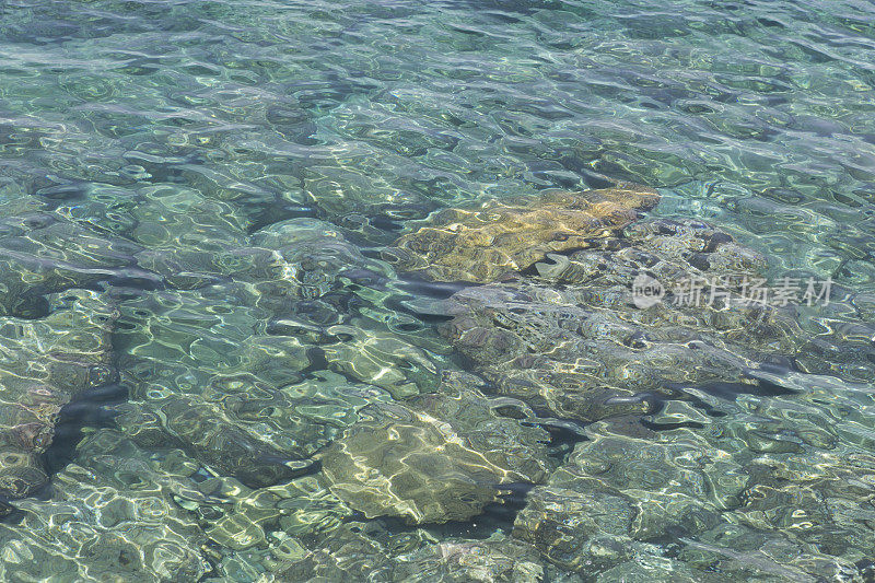 位于土耳其塞浦路斯北部kyrenia girne的清澈地中海水域